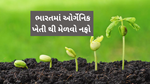Organic Farming :  ભારતમાં ઓર્ગેનિક ખેતી કેવી રીતે નફાકારક બની શકે જાણો ? 