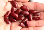 રાજમાની ખેતી કેવી રીતે કરવામાં આવે છે?