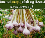 શું તમે જાણો છો ભારતમાં સૌથી વધુ લસણ ઉત્પાદન કરનાર રાજ્યોના નામ?