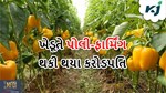 Success Story:  માર્કેટિંગની જોબ છોડીની શરૂ કરી પોલી-ફાર્મિંગ. આજે ધરાવે છે કરોડોની આવક