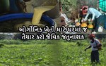 ઓર્ગોનિક ખેતી માટે ઘરમાં જ તૈયાર કરો જૈવિક જંતુનાશક 