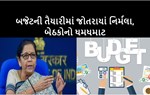 બજેટ 2021-22 : ખેડૂતોની આવક બમણી કરવાનો લક્ષ્યાંક પૂર્ણ કરવાના દેખાશે અણસાર ?