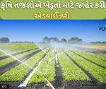 ગુજરાત સહિત દેશભરના ખેડૂતો માટે કૃષિ તજજ્ઞોએ જાહેર કરી એડવાઈઝરી