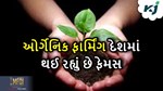 પીએમ મોદીની અપીલ ફળી, દેશના ખેડૂતો રાસાયણિક ખેતી છોડીને ઓર્ગેનિક ખેતી તરફ વળ્યા