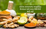 કોરોના સમયગાળા-આયુર્વેદિક ઉત્પાદ અને નાના ઉદ્યોગોને થયો નફો
