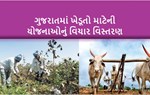 ગુજરાત : ખેડૂતોની સદા વહારે રહેતી રૂપાણી સરકાર, સહાય મેળવી પગભર થાઓ ‘સરકાર’