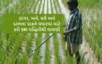 ડાંગર, ઘઉં અને દાળના પાકને વધારવા માટે કરો SRI પદ્ધિતીથી વાવણી