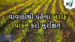Crop Insurance: ખરીફ પાકના વાવેતરથી પહેલા મેળવો તેનો વીમા, ફક્ત કરવું પડે આટલું