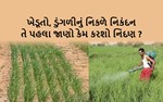 ડુંગળીના પાકમાં નિંદણને કેવી રીતે નિયંત્રિત કરી શકાશે ?