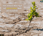 શિયાળા આવવામાં વિલંબ ને જોતા ગુજરાત સરકાર ખેડૂતો માટે જાહેર કરી એડવાઈઞરી
