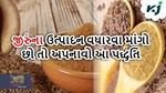 જીરુંના પાક વિશેની આ ખાસ માહિતી જાણો, ઉત્પાદન અને આવક વધારવામાં ઉપયોગી બનશે