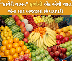 શું તમે જાણો છો “કાવેરી વામન” કયા ફળની જાત છે? જેની બજારમાં મોટા ભાગે થઈ રહી છે માંગણી