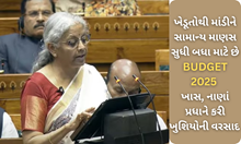 BUDGET 2025: ખેડૂતોથી માંડીને સામાન્ય માણસ માટે નાણાં પ્રધાને લઈને આવ્યા ખુશીયા અપાર