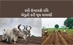 રવી સિઝન : ગુજરાતમાં રવી વાવેતરમાં 5 ગણો વધારો, કુલ 5.53 લાખ હૅક્ટરમાં થઈ વાવણી