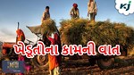 ખેડૂતોની કામની વાત...આ યોજનાઓ થકી ખેડૂતોને મળશે લાભ