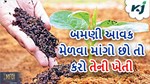 મેળવવા માંગો છો બમણી આવક તો કરો આ ત્રણ પાકોની ખેતી