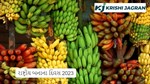 National Banana Day 2023: જાણો કેળા વિષે અજાણી પણ રસપ્રદ માહિતી 