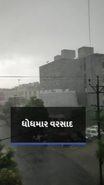 મેઘરાજા મહેરબાન: છેલ્લા 24 કલાકમાં રાજ્યના 155 તાલુકામાં વરસાદ,જાણો ક્યા સૌથી વધુ વરસાદ વરસ્યો