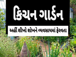 Kitchen Gardening: આ માનુની પાસેથી શીખો છત ઉપર કેવી રીતે કરવું કિચન ગાર્ડનિંગ, ક્યાં છોડ રોપવા જોઈએ?