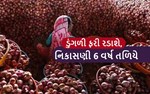 ડુંગળીની નિકાસની આવક 6 વર્ષના તળિયે, ખેડતોને થશે આવી અસર