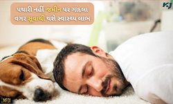 Healthy Lifestyle: અપનાવો જૂની પરંપરા, ગાદલા વગર જમીન પર સૂવો અને પછી જુઓ ચમત્કાર