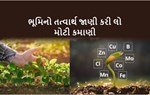 કામ ઝીણું, કરે ઘણું : કૃષિ ઉત્પાદનમાં સૂક્ષ્મ તત્વોનું મહત્વ જાણો અને ભારે નફો રળો