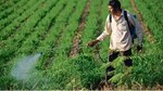 Government Action: સરકારે 27 પૈકી 3 જંતુનાશકો પર પ્રતિબંધ મૂક્યો, ખેડૂતોને થઈ મોટી રાહત 