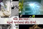 વૈજ્ઞાનિકોએ પ્રથમ વખત ચંદ્રની જમીનમાં સફળતાપૂર્વક છોડ ઉગાડ્યા !!