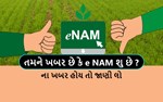 eNAM-રાષ્ટ્રીય કૃષિ બજાર યોજનાનો ખેડૂતો તેનો લાભ કેવી રીતે લઈ શકે છે? જાણો વિગતે