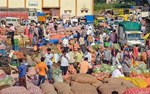 Market Price: જાણો જુદા-જુદા એપીએમસીમાં 2 માર્ચ ના બજાર ભાવ વિશે