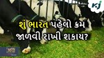 દેશમાં ઘાસચારના ઉણપના કારણે દૂધ ઉત્પાદન ઓછા થવાના આરે