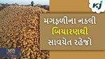 Groundnuts Seeds: બજારમાં વેચાઈ રહ્યા છે મગફળીના નકલી બિયારણ,આવી રીતે ઓળખો