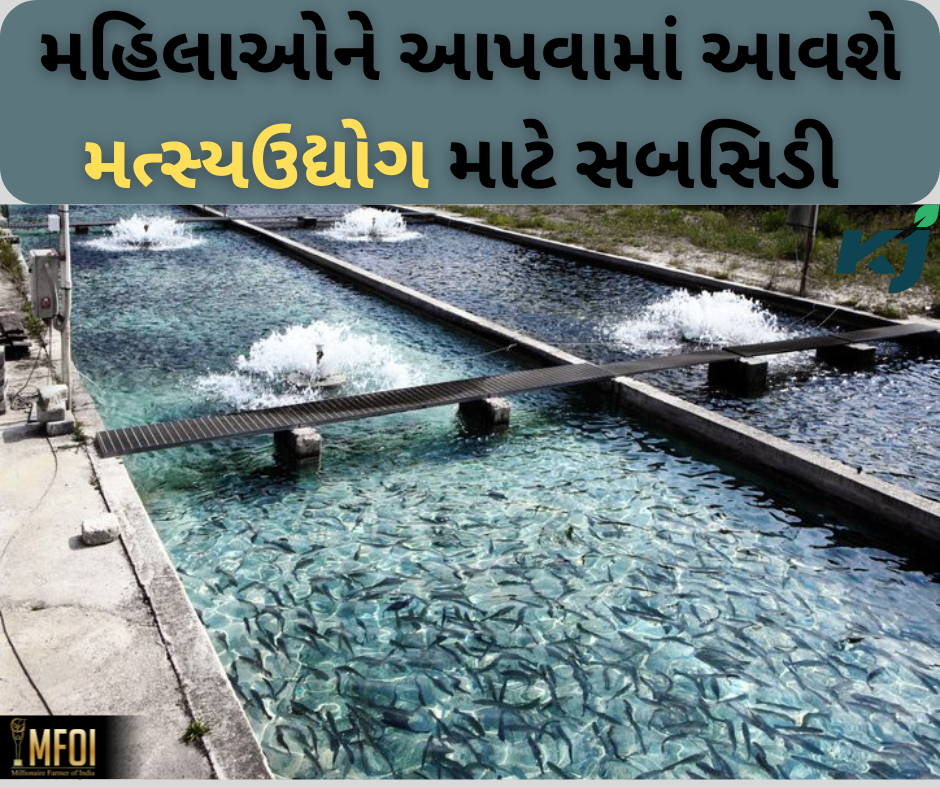 મત્સ્યઉદ્યોગ માટે મહિલાઓને મળશે સબસિડી