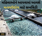 મહિલાઓને આત્મનિર્ભર બનાવવા માટે નવી પહેલ, મત્સ્યોઉદ્યોગ માટે આપવામાં આવશે સબસિડી