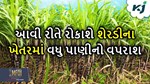 Sugarcane Farming: શેરડી ખેતીમાં વધુ પાણીનો વપરાશથી છો પરેશાન તો આ વાપરો ટેક્નિક