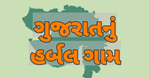 ગુજરાતનું હર્બલ ગામ, જ્યાં દરેક ઘરમાં ઉગાડાયા છે ઔષધીય છોડ