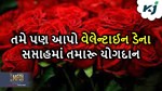 તમે પણ આપો પ્રેમના અઠવાડિયામાં તમારૂ યોગદાન,ગુલાબની ખેતી થકી મેળવો લાખો
