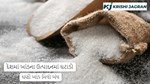 ભારતમાં ખાંડના ઉત્પાદનમાં ધરખમ ઘટાડો, અનેક ખાંડ મિલોને લાગ્યા તાળા 