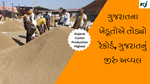 Gujarat Jira High Production :  ગુજરાતમાં ગુંજી ઉઠી જીરાની ખેતી, ગુજરાતના ખેડૂતોએ તોડ્યો રેકોર્ડ, ગુજરાતનું જીરું અવ્વલ  