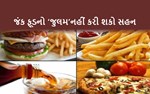 જંક ફૂડથી દૂર રહો : નવા વર્ષમાં આ સંકલ્પ લો અને તમારા આરોગ્યને રાખો સંપૂર્ણ ફિટ