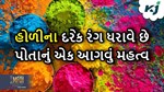 હોળી આવી ખુશિયા લાવી, જાણો હોળી પર ઉપયોગમાં લેવાતા દરેક રંગનું શું છે મહત્વ