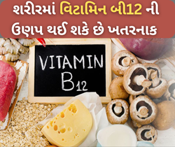 Vitamin B12: શરીરમાં વિટામિન્ટ બી12 ની ઉણપ બની શકે છે મોટી સમસ્યાનું કારણ,પોતાની ખોરાકમાં કરો તેનું સમાવેશ