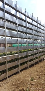 ઇઝરાયલની આ ટેકનિક અપનાવી મેળવો 100 ગણો પાક