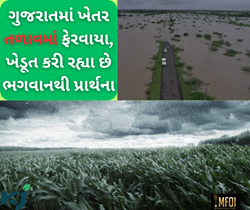 રાજ્યમાં ભારે વરસાદના કારણે ખેડૂતોને સેવાઈ રહી છે નુકશાનની ભીતિ, ખેતરો તળાવમાં ફેરવાયા 