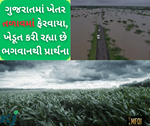 રાજ્યમાં ભારે વરસાદના કારણે ખેડૂતોને સેવાઈ રહી છે નુકશાનની ભીતિ, ખેતરો તળાવમાં ફેરવાયા