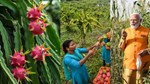 Dragon Fruit Nursery:  PM મોદી આવતીકાલે ગુજરાત પહોંચશે, 7.5 કરોડની ડ્રેગન ફ્રૂટ નર્સરીનું કરશે ઉદ્ઘાટન, 91 હજાર રોપાઓનું વિતરણ કરાશે, વાંચો સંપૂર્ણ અહેવાલ