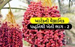 ખારેકની વૈજ્ઞાનિક પધ્ધ્તિ ખેતી કરી દૂર કરો ગરીબી