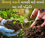 રવિ પાકની વાવણીમાં વિલંબ ન થાય તેના માટે વાપરો વૈજ્ઞાનિકો દ્વારા વિકસાવવામાં આવી આ નવી પદ્ધતિ