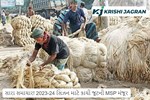 સારા સમાચાર! 2023-24 સિઝન માટે કાચી જૂટની MSP મંજૂર