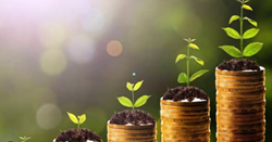 Most Profitable Farming: ભારતમાં સૌથી વધુ નફાકારક તથા વ્યાપક રોજગારી સર્જન કરી આપે છે કૃષિ વ્યવસાય